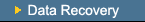 Data Recovery